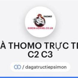 trực tiếp gà đá thomo c1 c2 c3