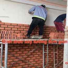 truc tip da ga tho mo hom nai