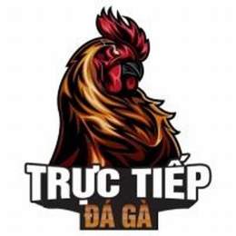 tructiep da ga 67