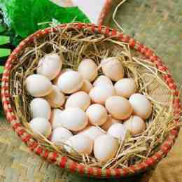 trứng gà yêu tảng đá