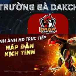 trường đá gà savan