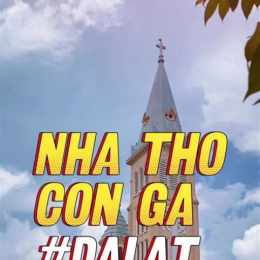 tuổi dậu biểu tượng con gà phong thủy