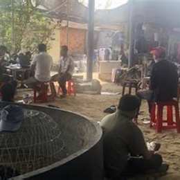 vụ đá gà ở gia lai