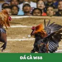 w88 đá gà