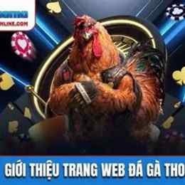 web đá gà thomo