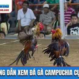 xem da ga campuchia.com