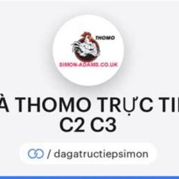 xem đá gà thomo trực tiếp c1 c2 c3
