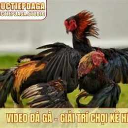 xem da ga tv hom nay