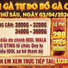 xem giải gà đá