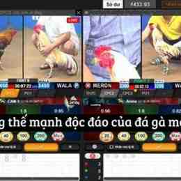 xem lại đa gà hôm nay